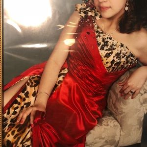 Gorgeous Red/Leopard Dress